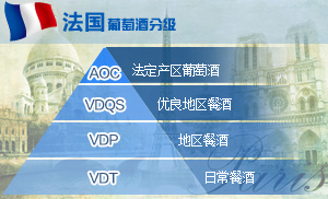 等级介绍