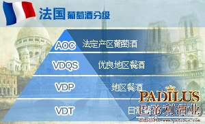 等级介绍