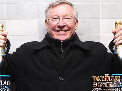 曼联主教练弗格森有意£200万购买法国葡萄园