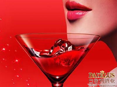 2013葡萄酒行业女性大会