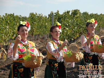 保加利亚期望酿造2013高产优质葡萄酒