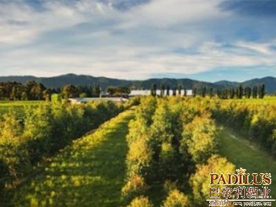 云雾之湾酒庄试图阻止摩亚啤酒厂扩建