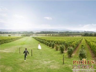 澳大利亚将以“美酒佳肴”为葡萄酒主题开展国际旅游推广