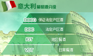 等级介绍